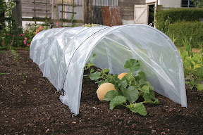 Giant Easy Poly Tunnel - Open