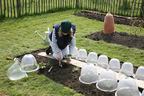 Original Victorian Bell - Planting out strawberries