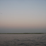 Morning mix at Nal sarovar.jpg