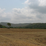 floodplains.jpg