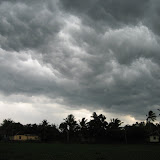 rainy dusk.jpg