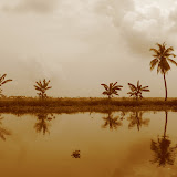 Mirror view at backwaters.jpg