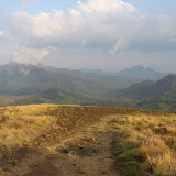 Kurinji way.jpg