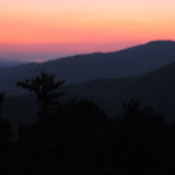 IMG_1513.JPG