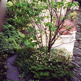 images-Landscape Design and Installation-lnd_dsn_27.jpg