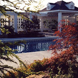 images-Pool Environments and Pool Houses-Pools_24.jpg