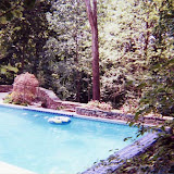 images-Pool Environments and Pool Houses-Pools_15.jpg