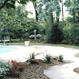 images-Pool Environments and Pool Houses-Pools_3.jpg
