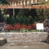 images-Walls and Fences-walls_18.jpg