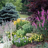 Trees, Shrubs, Seed and Sod