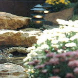 images-Landscape Lighting and Illumination-illum_1.jpg