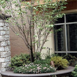 images-Landscape Lighting and Illumination-illum_9.jpg