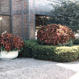 images-Site Amenities-site_amen_10.jpg