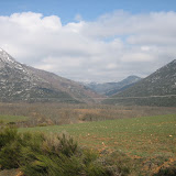 07/04/07 Tejeda de Tosande (Dehesa de Montejo e Cervera del Pisuerga ) Palencia
