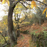 03/11/16 Desfiladeiro de Bustelín (Ibias) Asturias