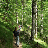 06/05/17 Visita ao Bosque de Muniellos (C. del Narcea) Asturias