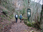 Área forestal de La Malva