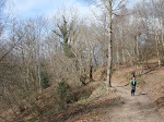 Bosque de Los Cerraos