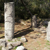 08/03/21 A Geira pela Mata da Albergaria
