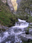 Foces do Río Pino