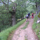 10 06 27 Caín - Canal de La Jerrera - Lagos de Enol