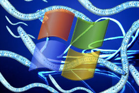 windowsvirus