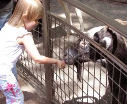 Applications Hipmunk, looking for a hotel guide Japan Zoo Applications Hipmunk, looking for a hotel guide