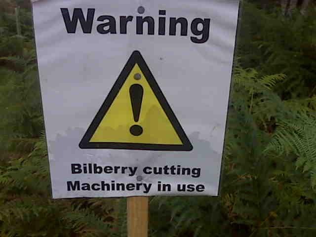 [Bilberry Cutting Warning[2].jpg]