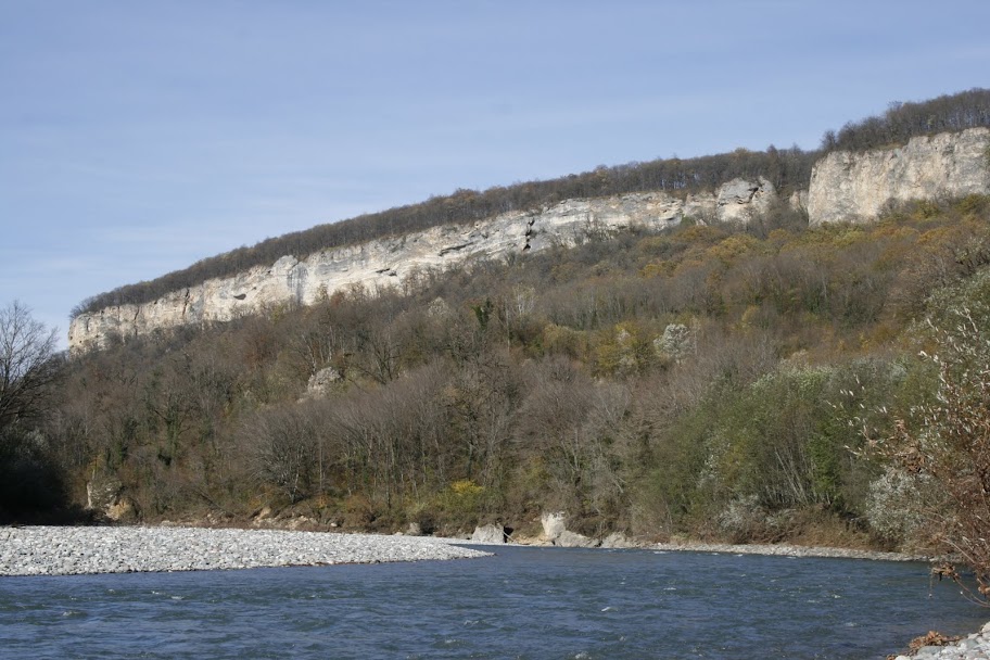 _MG_0117.JPG