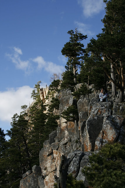 _MG_0213.JPG