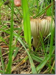 Together September 2009 070