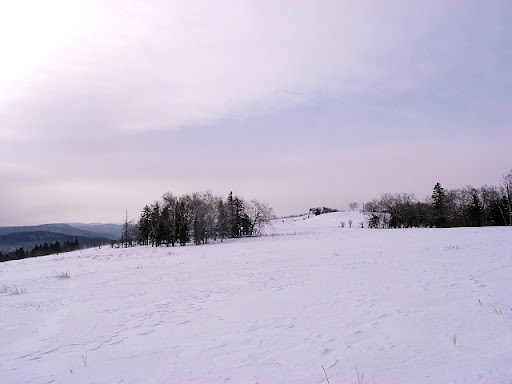 R1076275.JPG