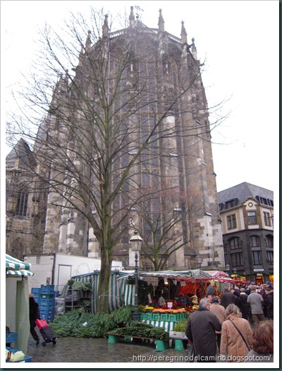 DSCN0779