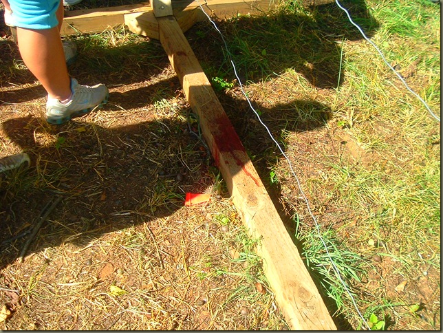 DSCF2252 DSCF2252