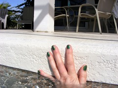 [december20090974.jpg]