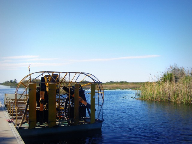 [december20091256.jpg]