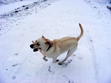 december 2010 048
