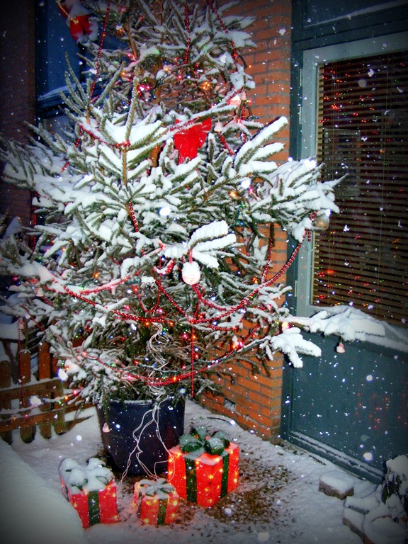 [Kerstboom[7].jpg]