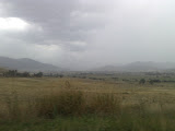 11012008032.jpg