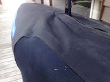 12012008039.jpg