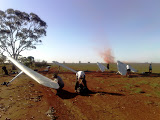 03012008017.jpg