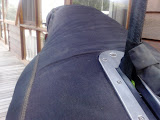 12012008042.jpg