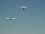DSC07621.JPG