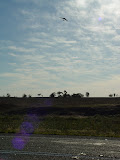 DSC07631.JPG