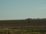DSC07635.JPG