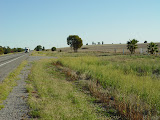 DSC07638.JPG