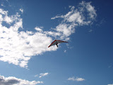 P8130011.JPG