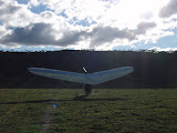 P8130019.JPG