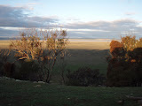 P8210044.JPG