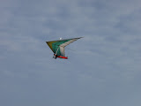 P8250052.JPG